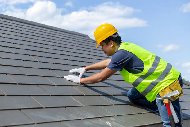 Best Roof Gutter Cleaning  in Davenport, FL