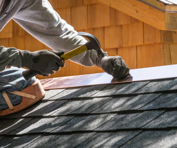 Best Gutter Installation and Roofing  in Davenport, FL
